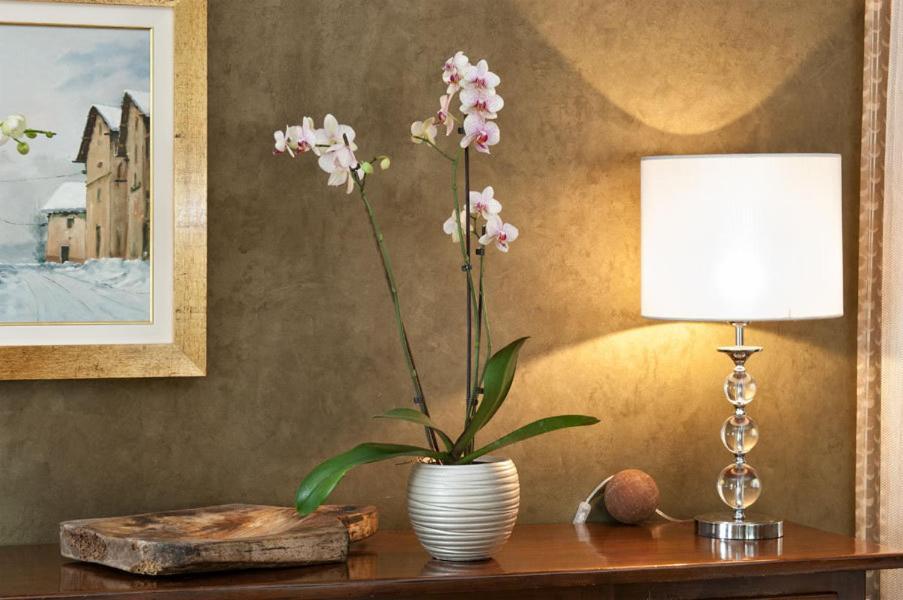 Trattoria Del Bivio Guest House Cerretto Langhe Ngoại thất bức ảnh